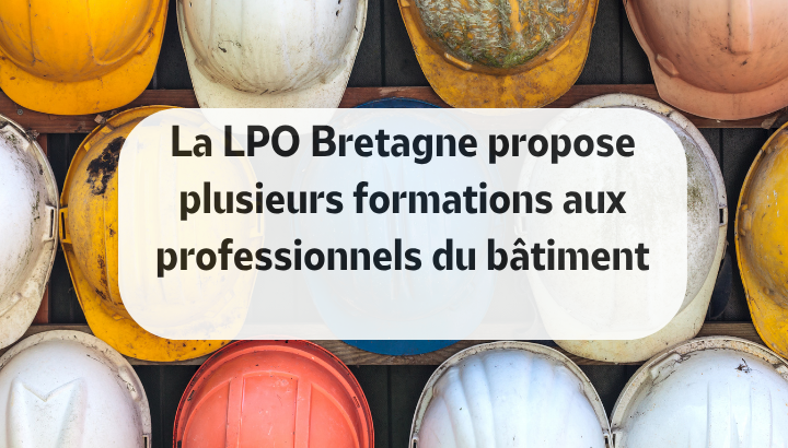 Plusieurs formations ouvertes pour les professionnels du bâtiment